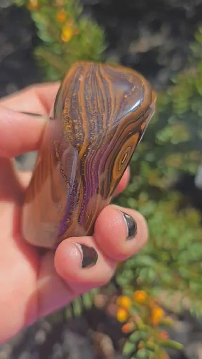 Queensland boulder opal