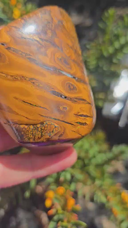 Queensland boulder opal