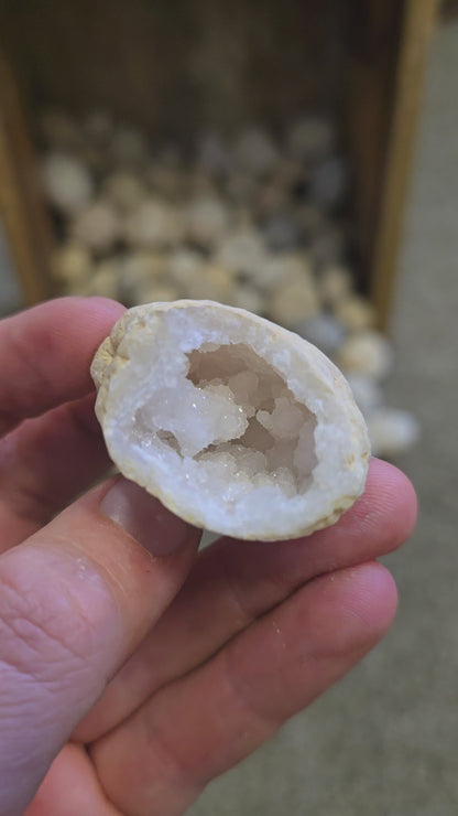 Quartz Geodes