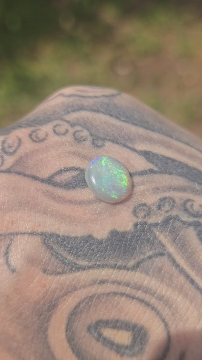 1.610 cooberpedy Opal