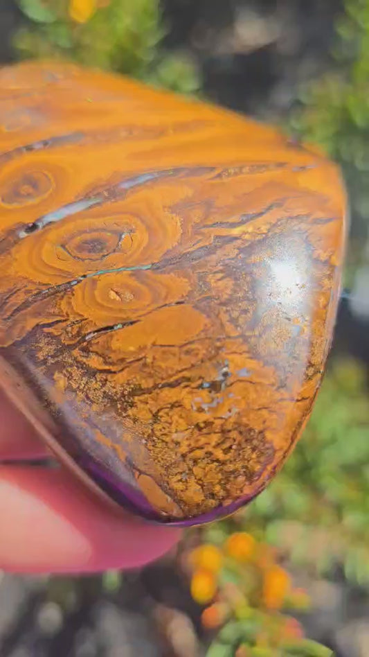 Queensland boulder opal