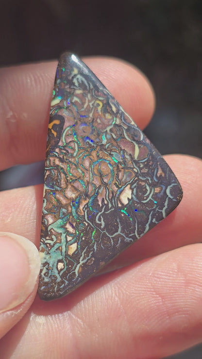 Queensland boulder opal