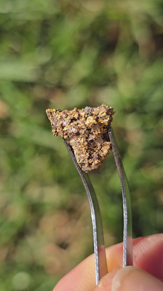 1.882g Gold Nugget beechworth