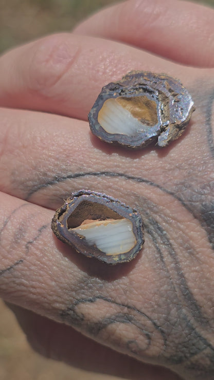 Opal Nut