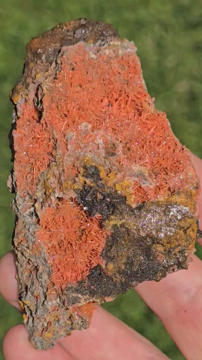 Rare Crocoite specimen Lrg