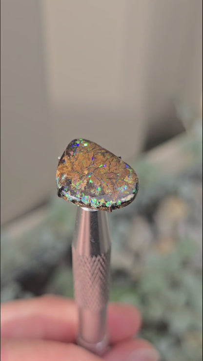 Boulder opal