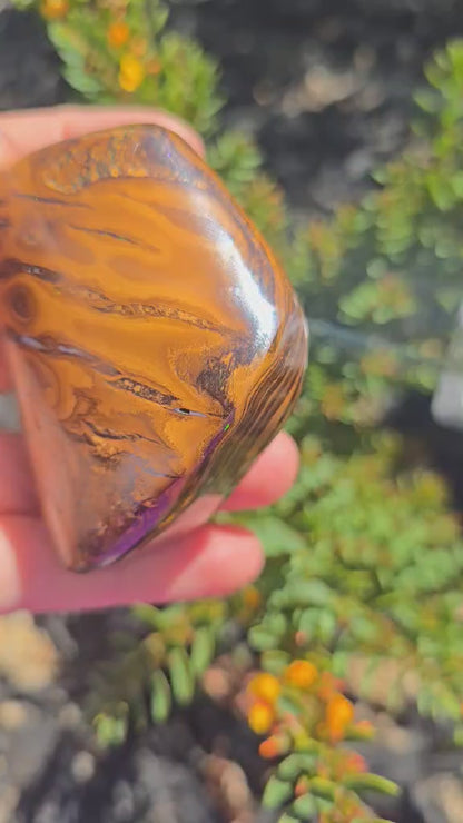 Queensland boulder opal