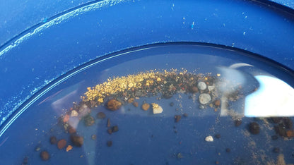 1 Gram Vogus Paydirt