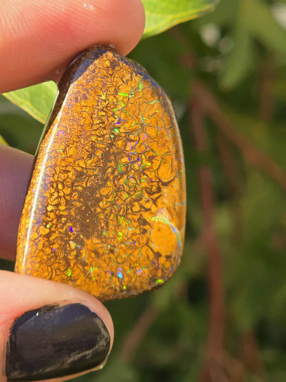 QLD Boulder Opal 52ct
