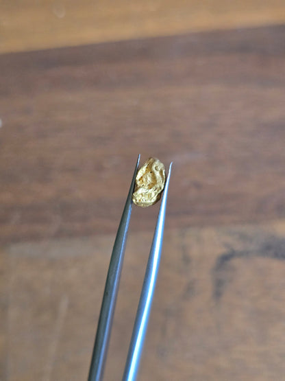 0.75g Gold Nugget