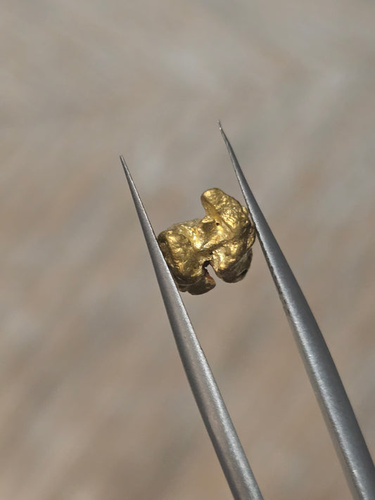 1.523g Clearmont gold nugget