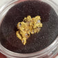 8.80g Reef Specimen from Beaufort