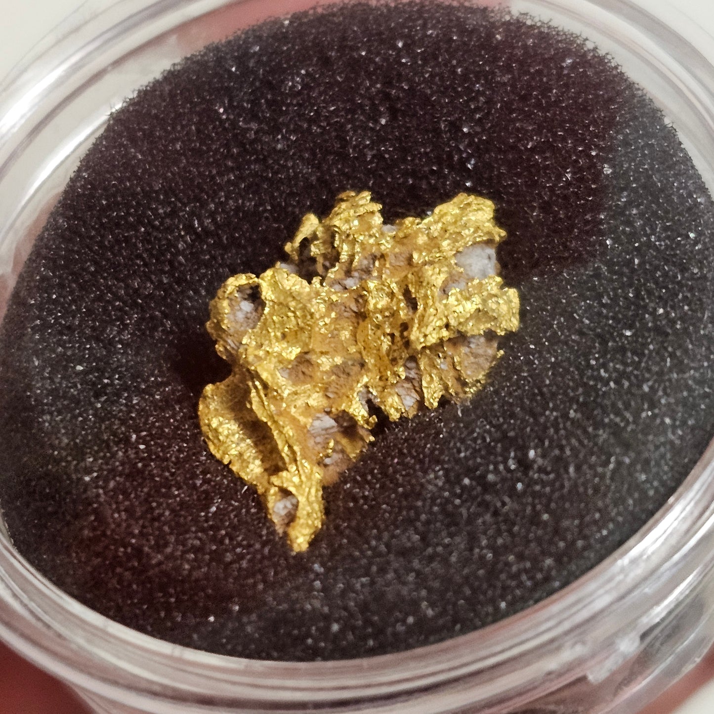 8.80g Reef Specimen from Beaufort