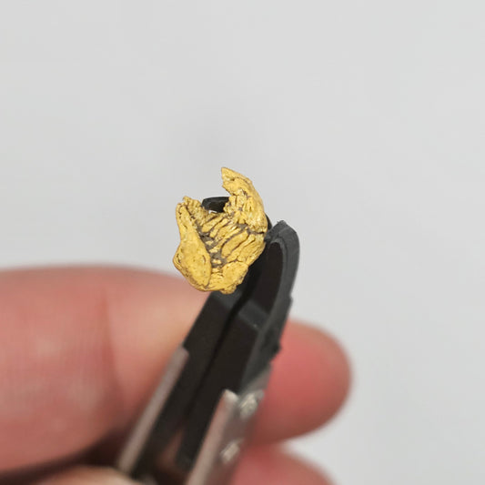 0.62g Bendigo Gold Nugget