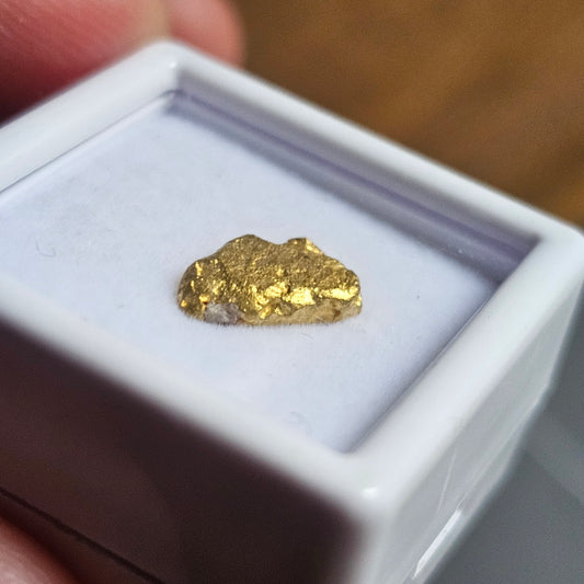 1.68g FNQ gold nugget