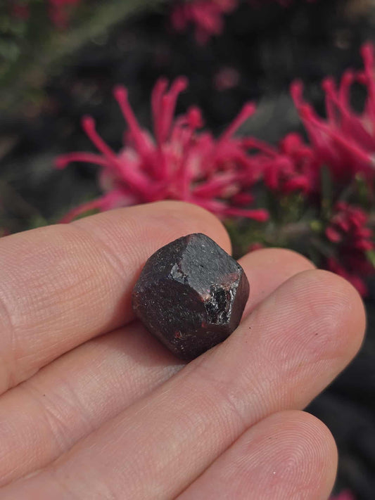 Broken Hill Raw Garnet