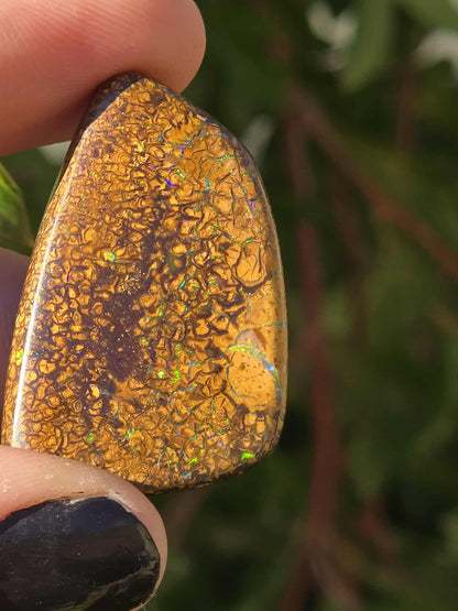 QLD Boulder Opal 52ct