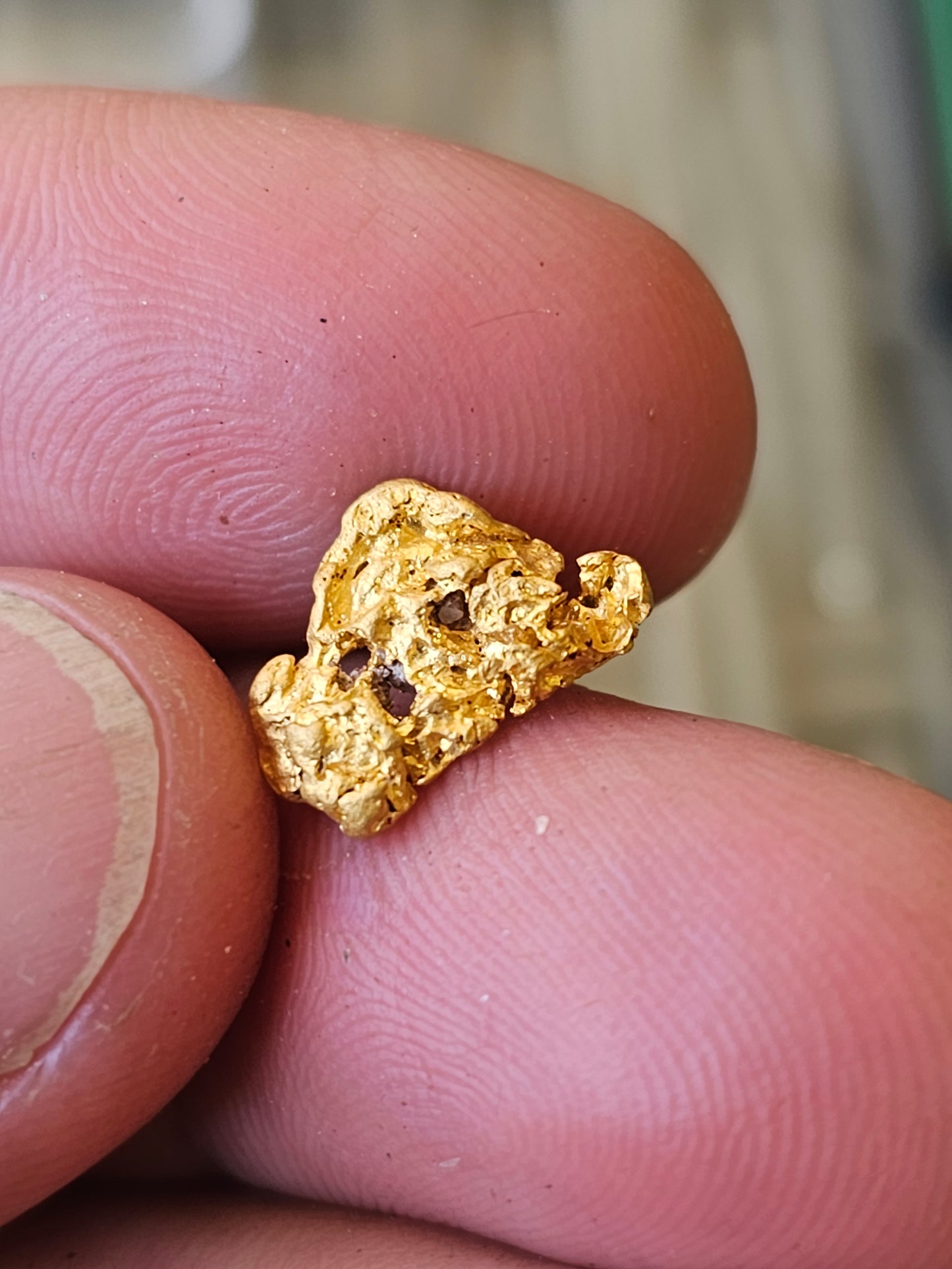 Alluvial Gold Nugget From Castlemaine 1.44 Grams