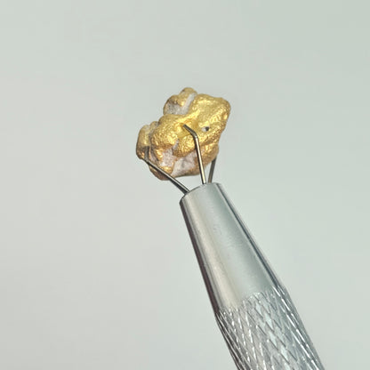 3.95g Western Australia Nugget