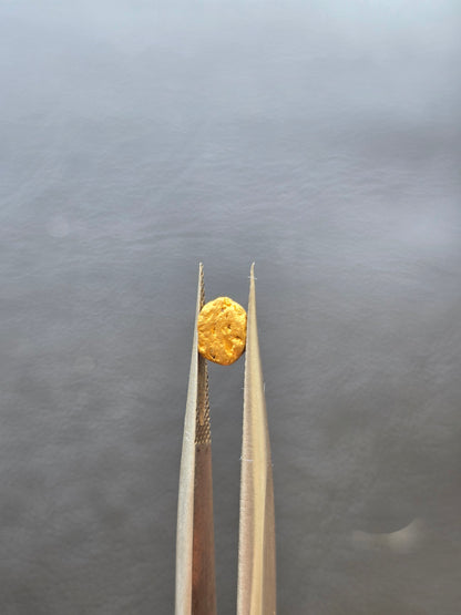 0.39g Gold Nugget