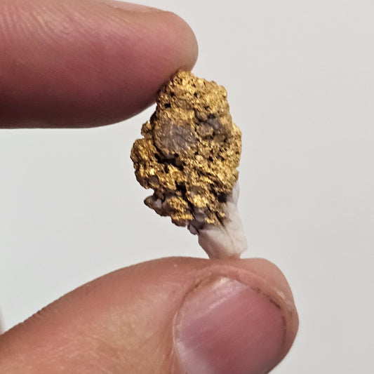6.25g Reef Gold Specimen