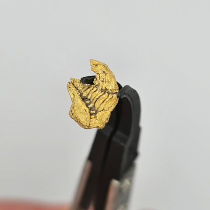 0.62g Bendigo Gold Nugget