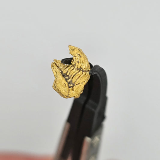 0.62g Bendigo Gold Nugget
