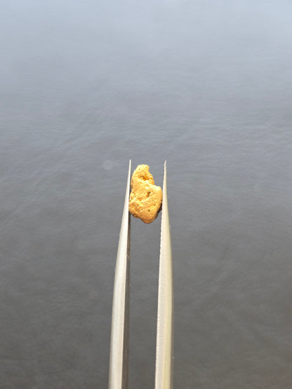 0.81g Gold Nugget
