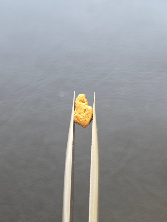 0.81g Gold Nugget