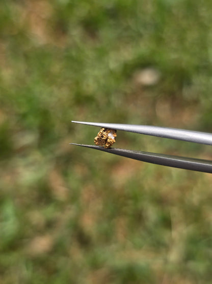 0.24g Gold Nugget