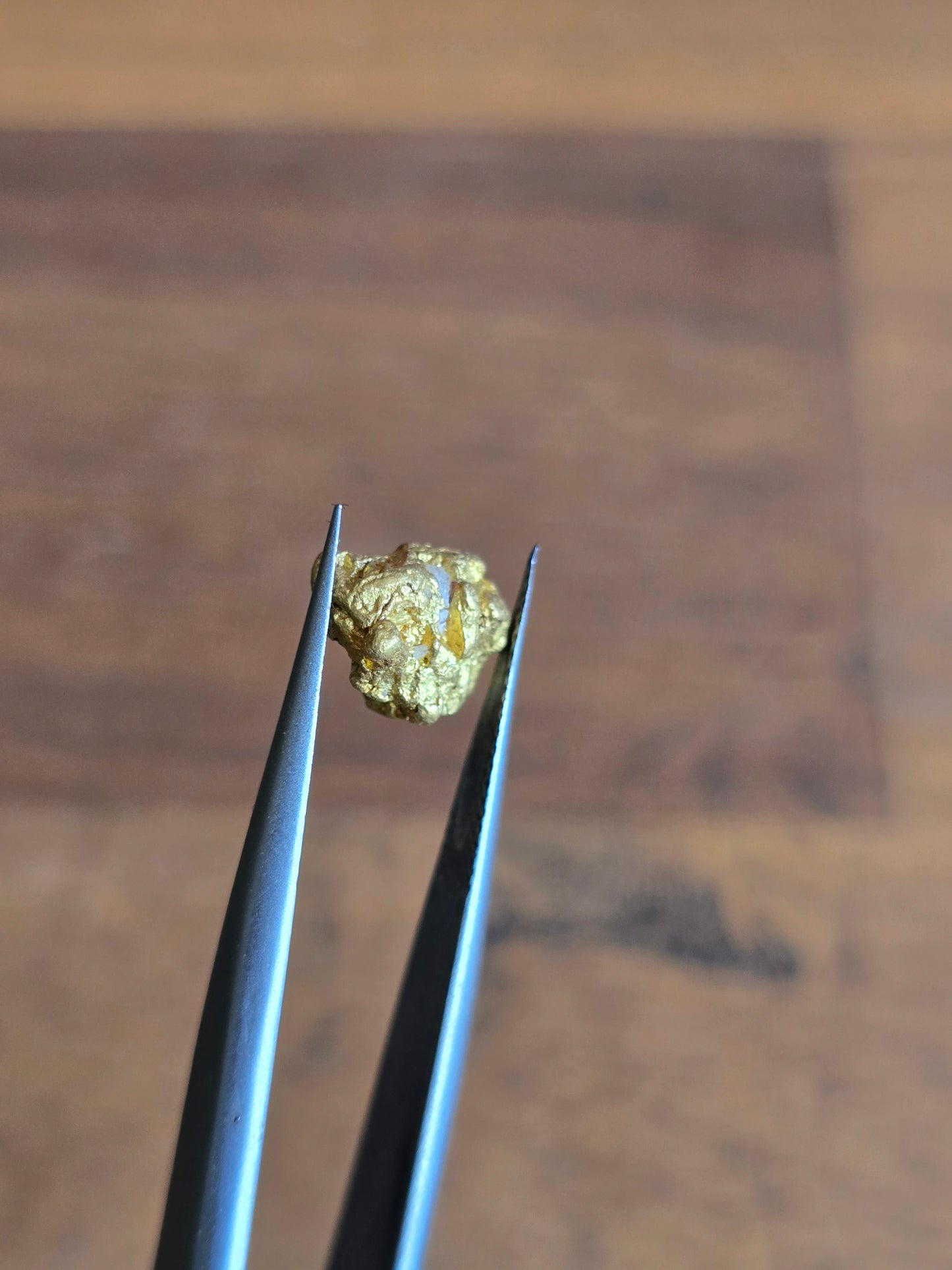 1.89g Gold Nugget