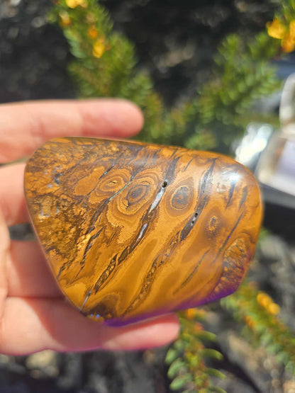 Queensland boulder opal