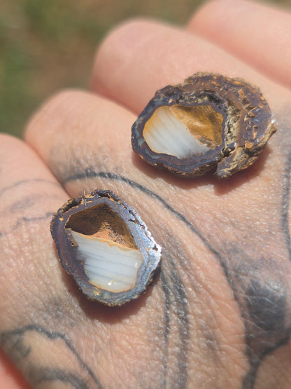 Opal Nut