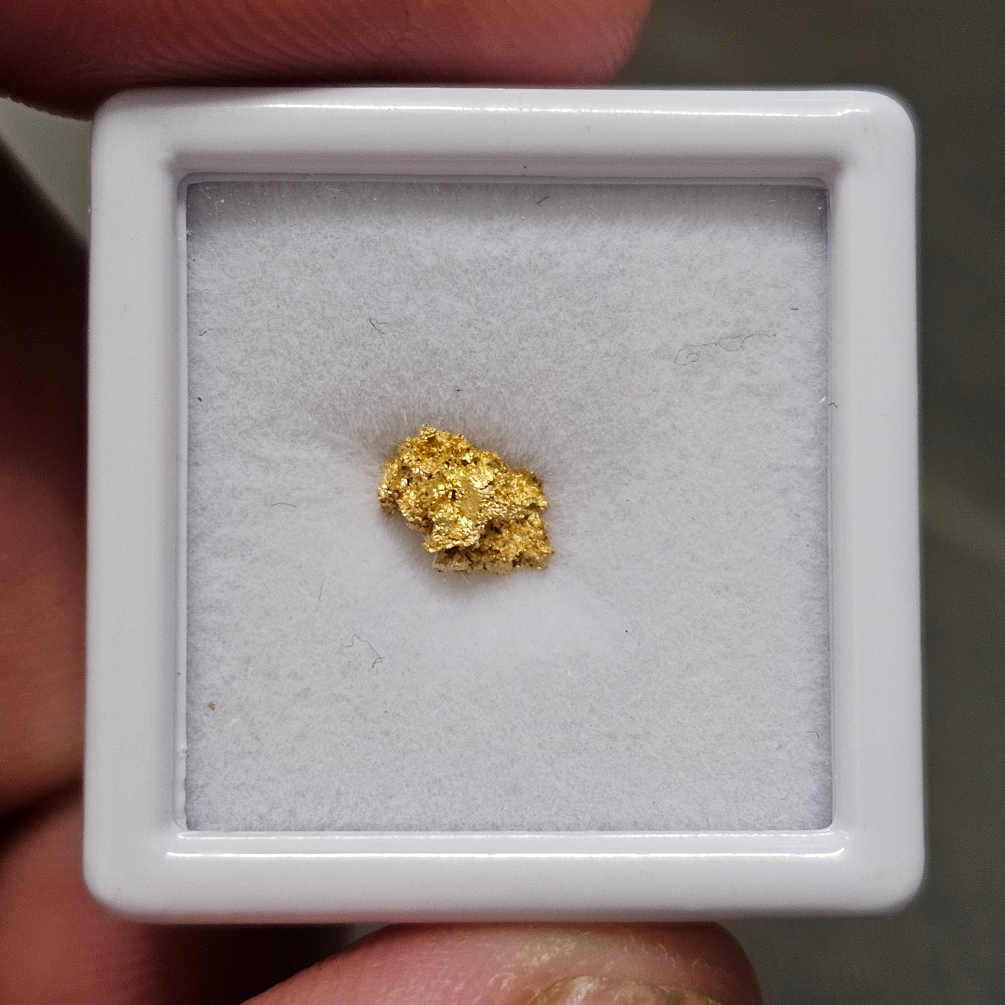 0.30g Reef Gold Nugget