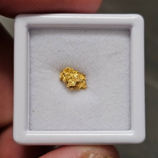 0.30g Reef Gold Nugget