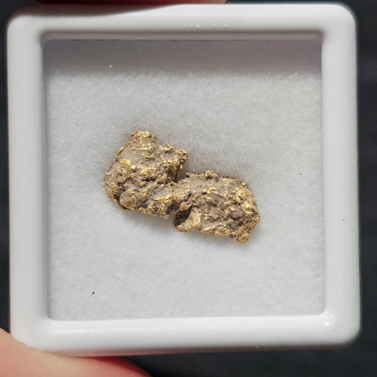 1.556g Ballarat Gold Nugget