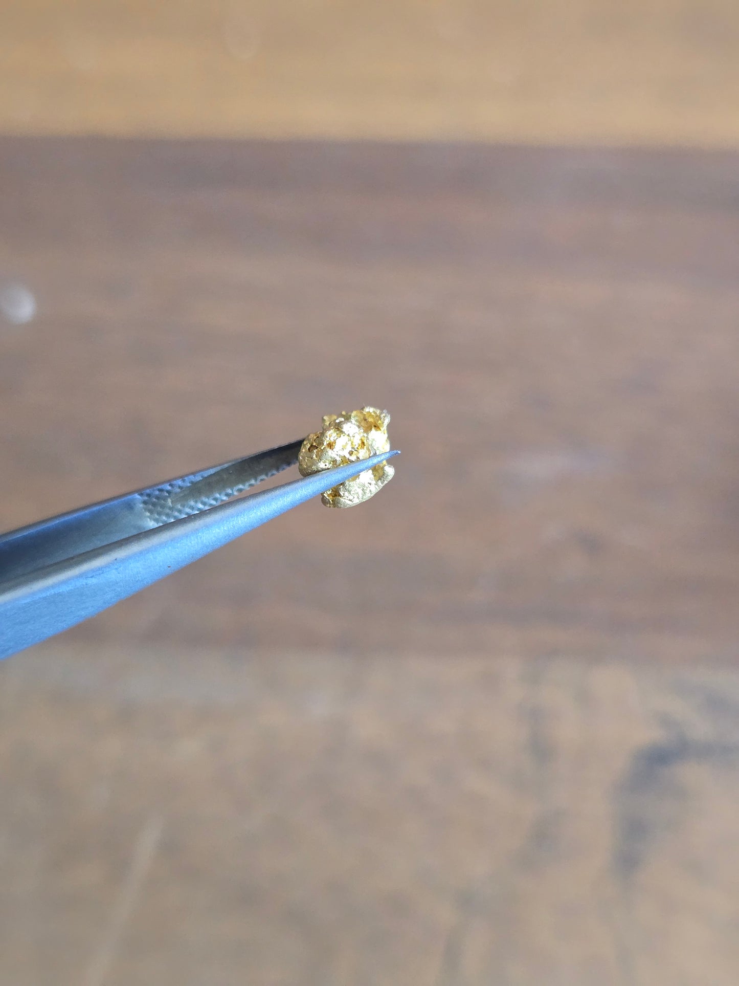 0.59g Gold Nugget