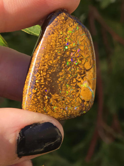 QLD Boulder Opal 52ct