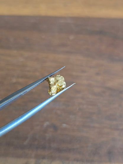 0.54g Gold Nugget