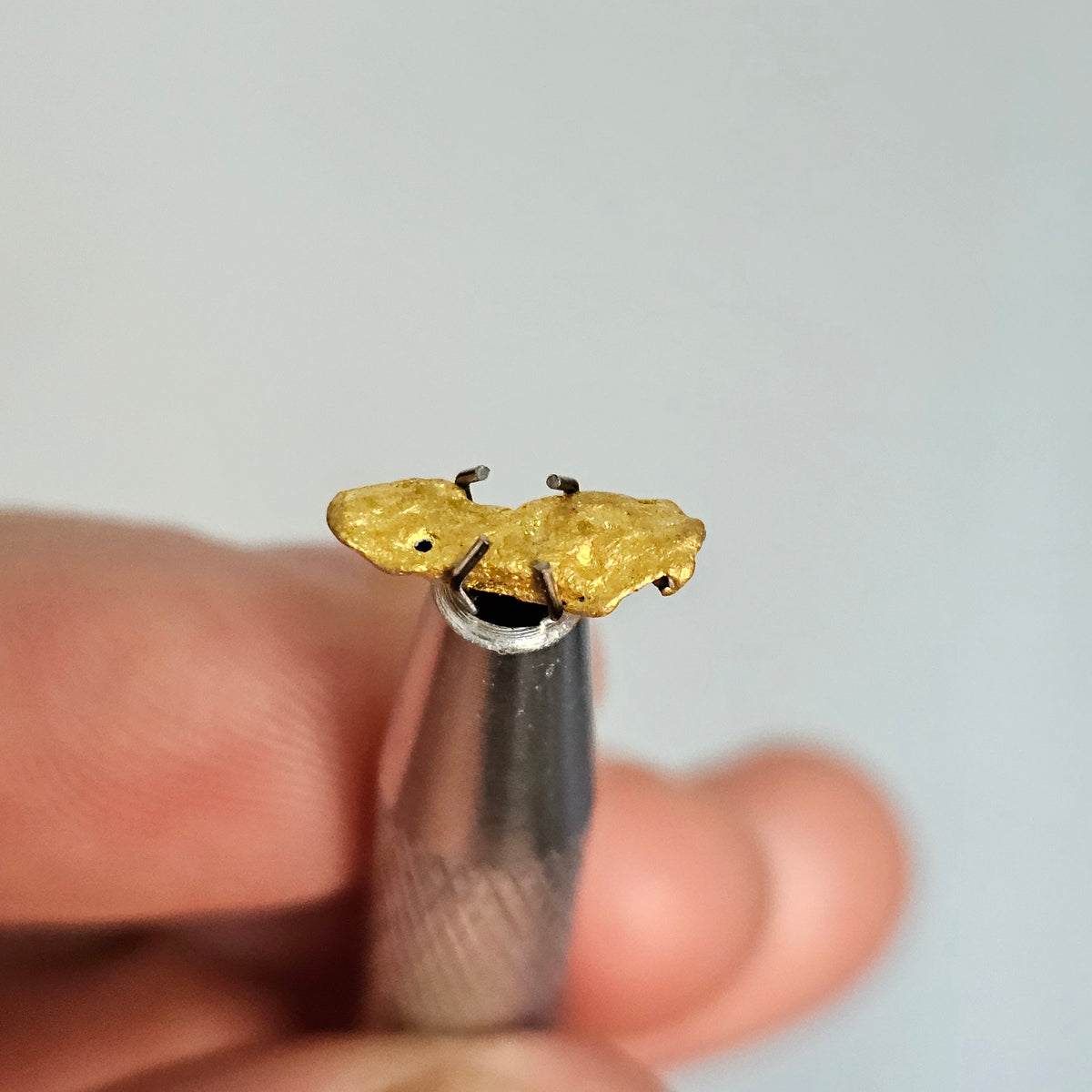 0.827 Western Australia Gold Nugget