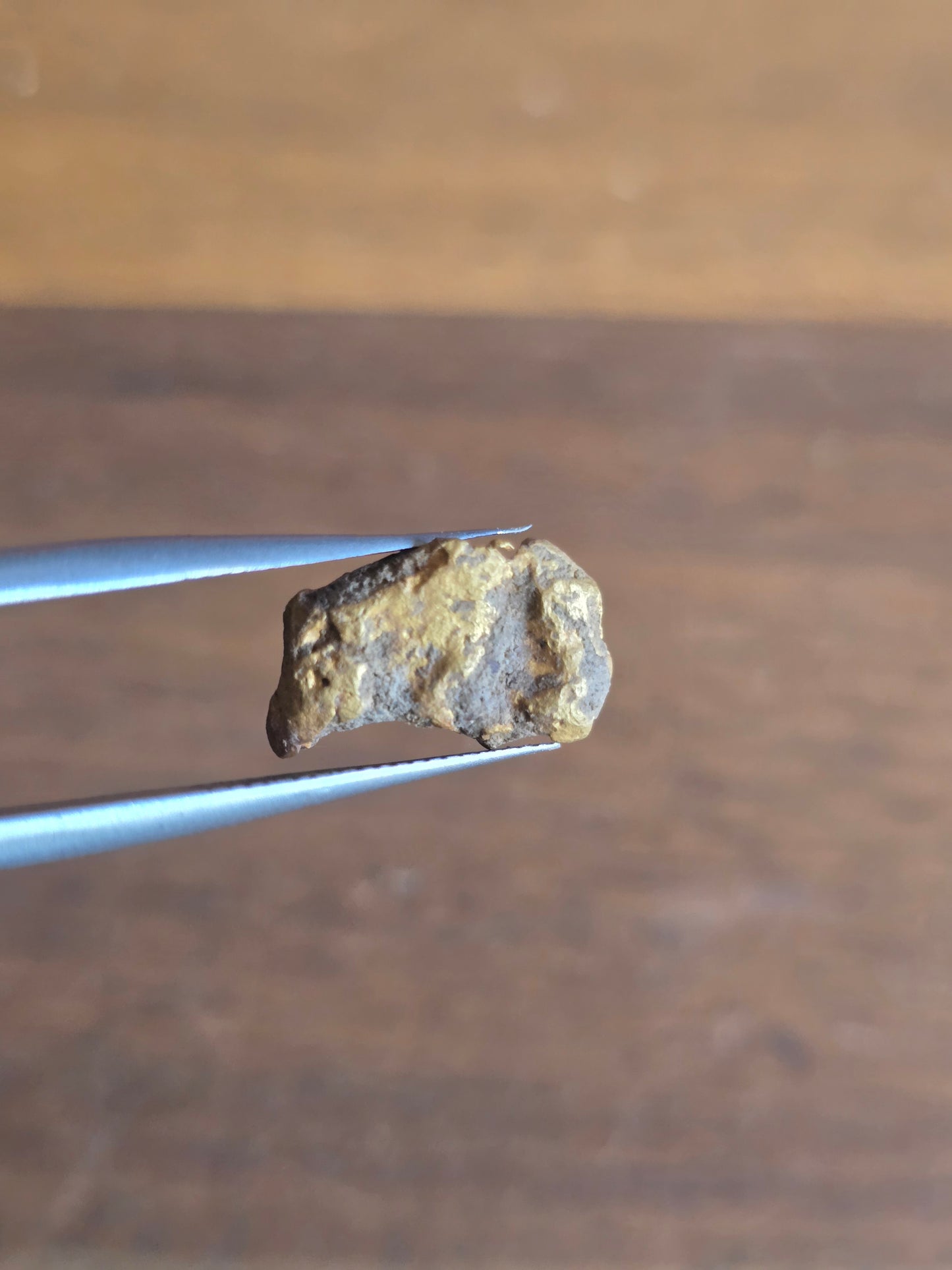 2.37g Gold Nugget