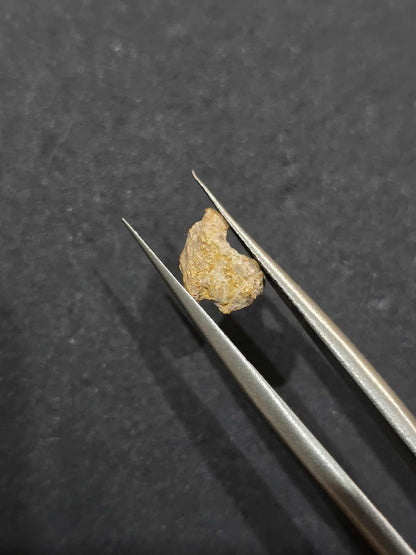 0.541 Gold Leaf Nugget