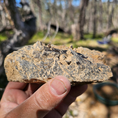 Smokey Quartz Specimen