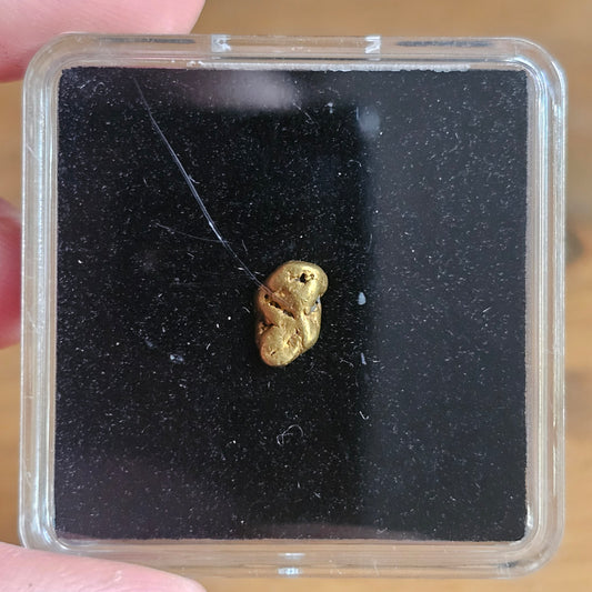 1.15g Queensland Gold Nugget