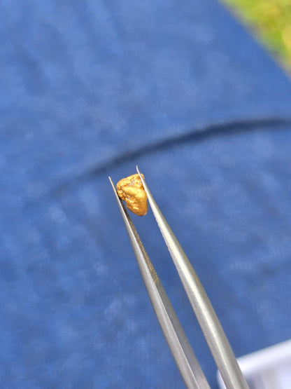 0.381g Gold Nugget