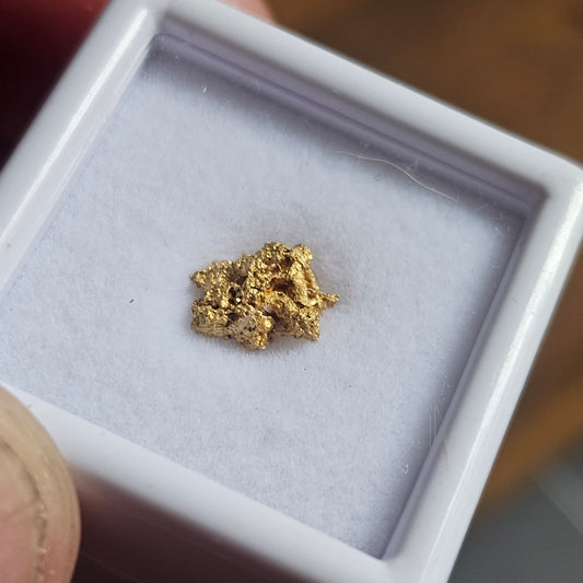 0.64g FNQ gold nugget