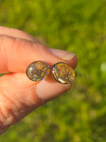 Opal Earrings #H