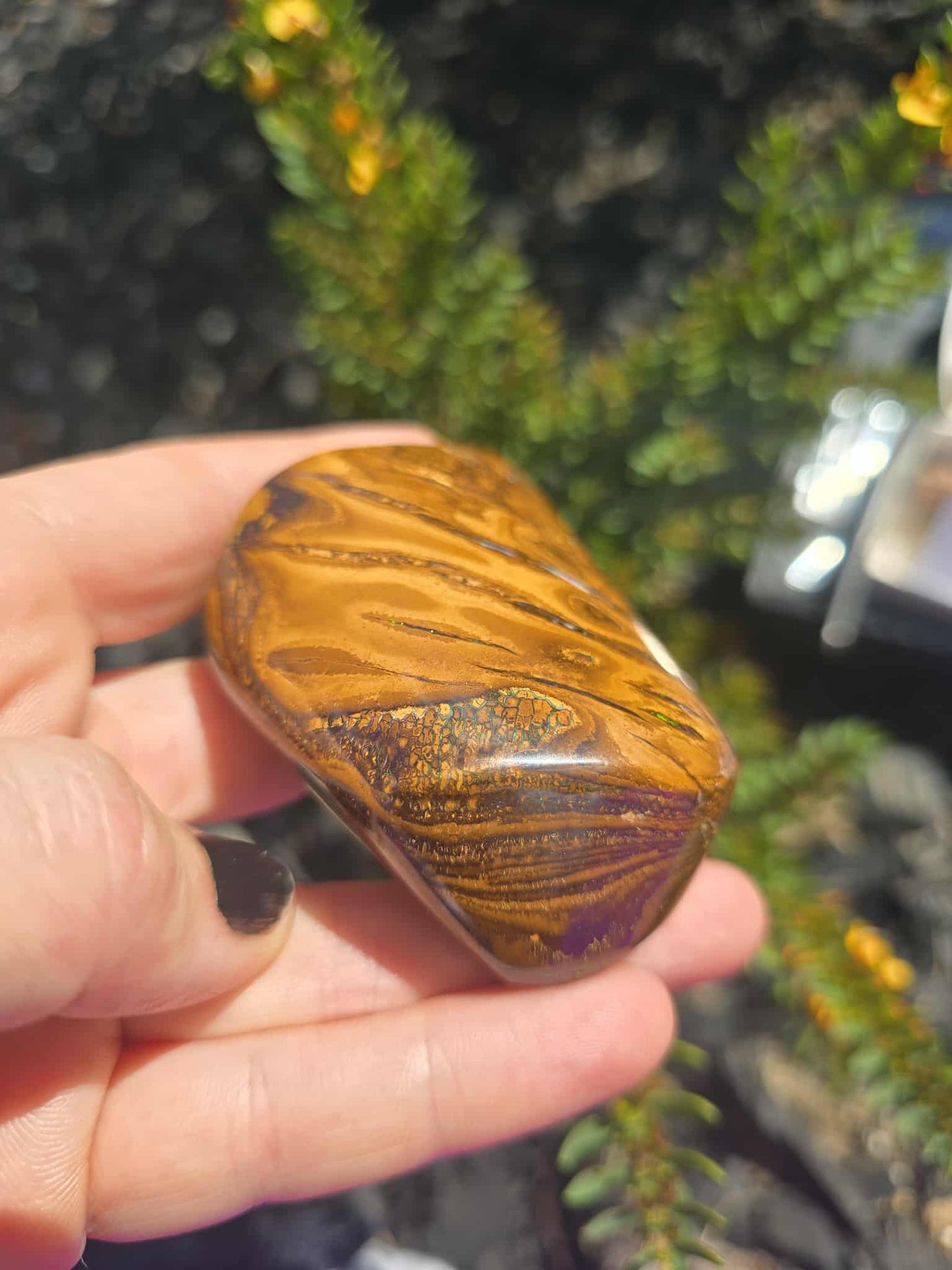 Queensland boulder opal