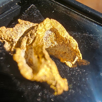 4.893g Leaf Gold Nugget