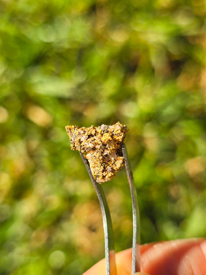 1.882g Gold Nugget beechworth